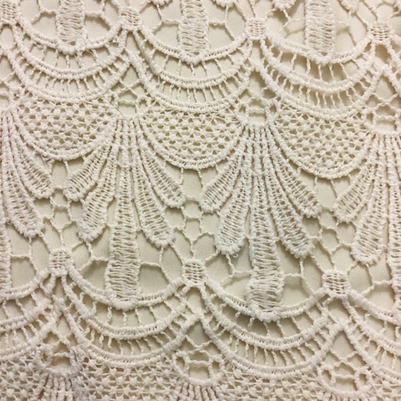 Adiva Scalloped Lace Top Short Sleeve in Ivory 1X - Picture 4 of 8